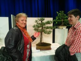 A képen Terike mögött egy szép bonsai látható