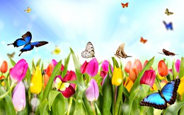 A képen tavaszi jelenet látható, melyen pillangó repül a virágokkal teli réten