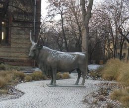 A képen az állatorvosi múzeum előtt álló, szarvasmarhát ábrázoló szobor látható