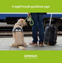 A képen egy pályaudvaron álló ember látható, mellette egy segítő kutya