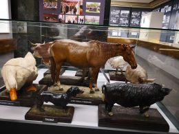 Az állatorvosi múzeum egyik tárolója, benne sokféle állat makettjével
