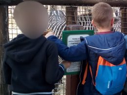 A képen két gyerek tag próbálja olvasni az egyik állatkerti tájékoztató feliratot a zebrák előtt állva